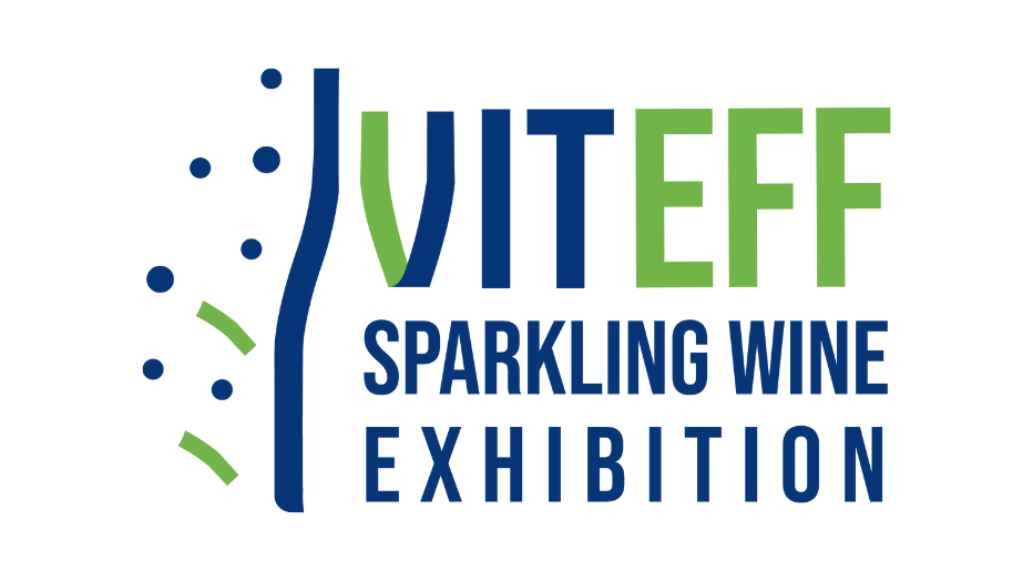 Header-actu-VITEFF-2025