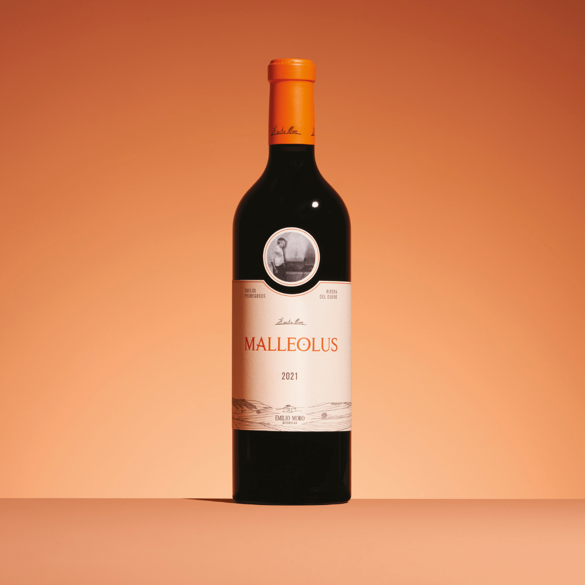 Malleolus Réalisation_Malleolus