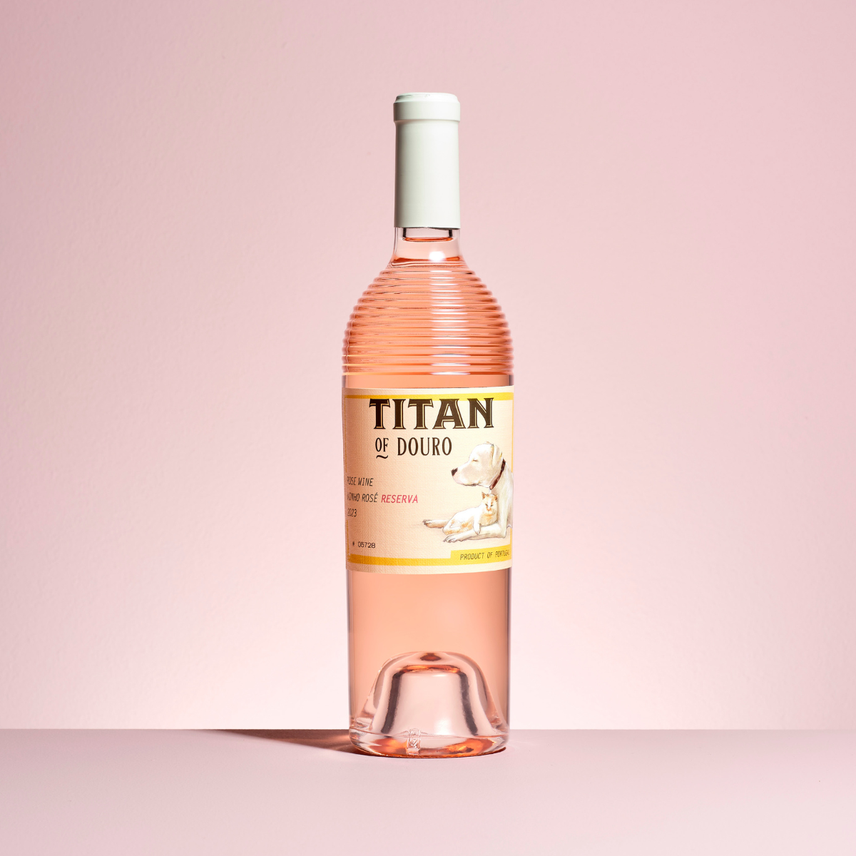 Réalisation_Titan_of_Douro
