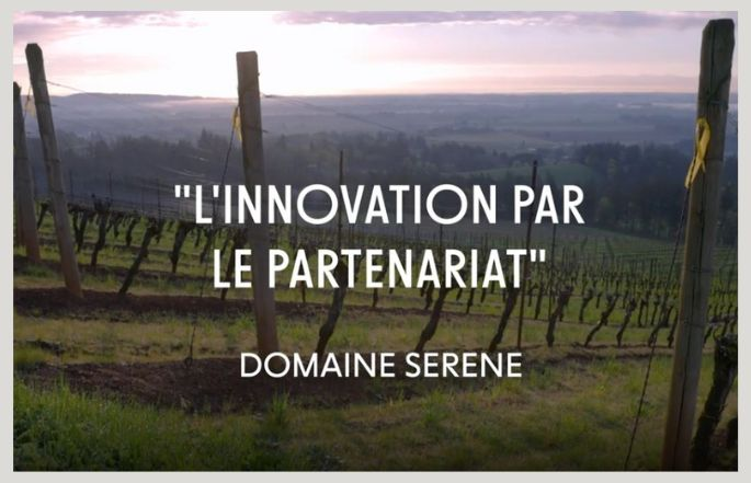 Domaine Serne Sustainability Success Story Teaser