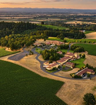 Vue aérienne panoramique d'un vaste domaine viticole au crépuscule, avec des rangées de vignes verdoyantes s'étendant sur des collines. Plusieurs bâtiments de style méditerranéen sont nichés parmi les arbres. Cette scène évoque la qualité et la provenance de grands vins et spiritueux.