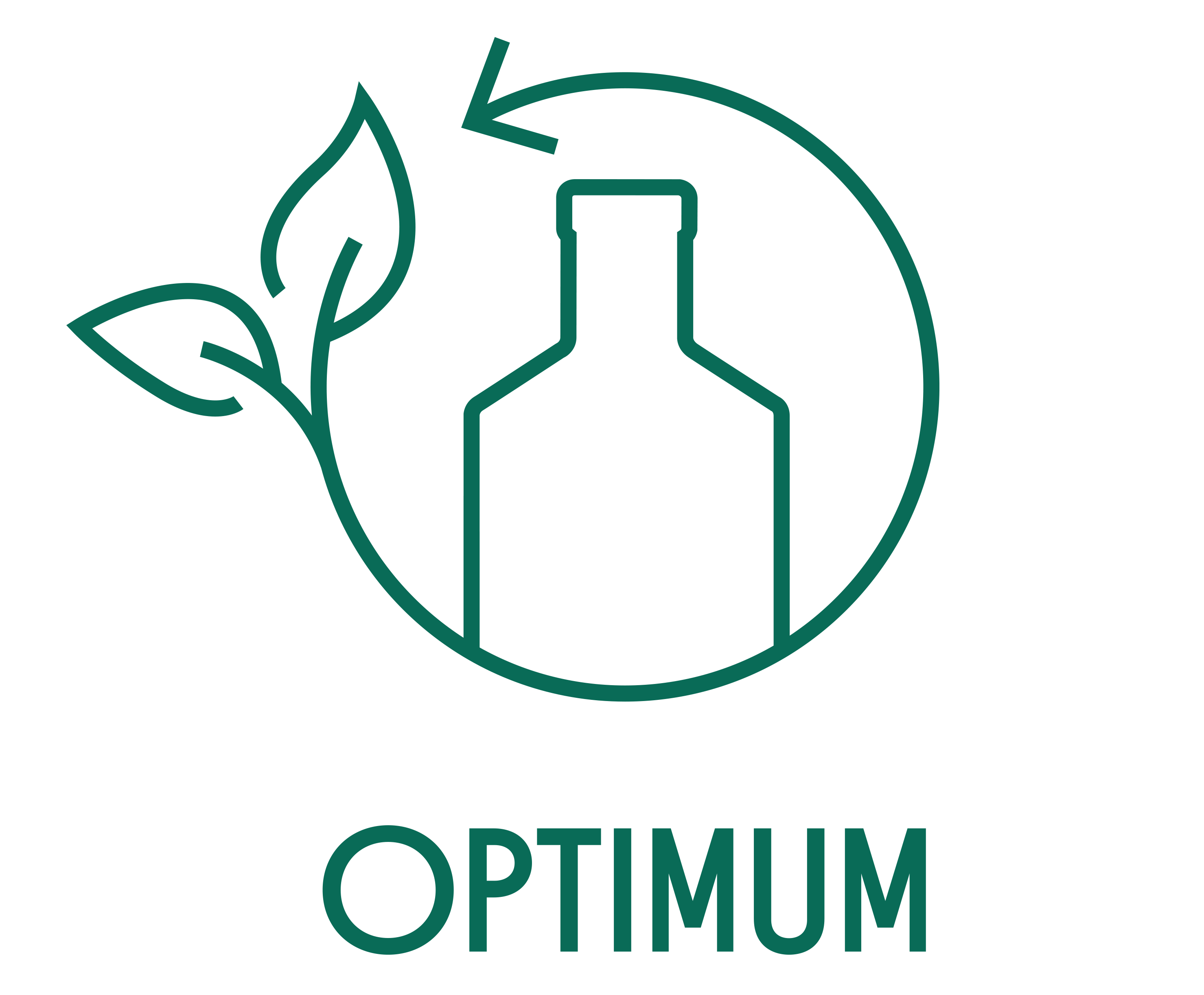 optimum